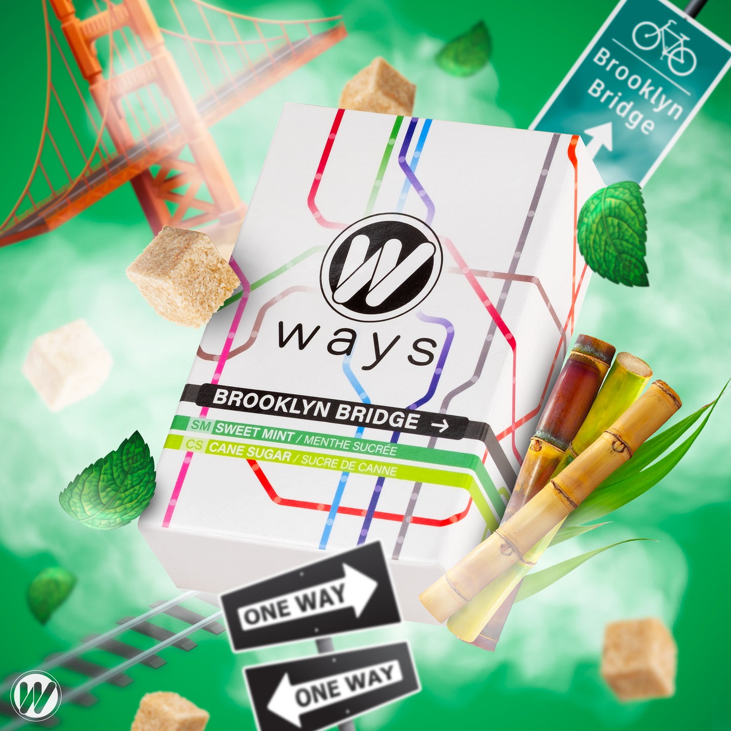 Ways Brooklyn Bridge Shisha Flavour Sweet Mint and Cane Sugar Tobacco Free 50g