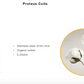 Aspire Proteus 0.25ohm Coil - The Shisha Shop