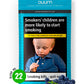 Duuma Premium No.22  |  Blueberry Delight Shisha Flavour