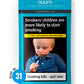 Duuma Premium No.31 | Frozen Blueberry Shisha Flavour - The Shisha Shop